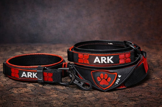 ARK Collar & Leash Set — Protected by Love